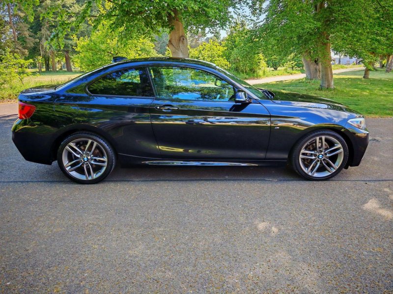 View BMW 2 SERIES 2.0 218d M Sport Euro 6 (s/s) 2dr